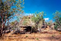 Aussie Landscape