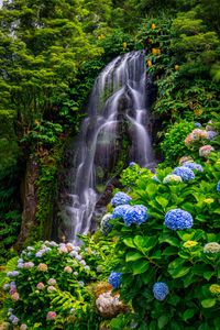 Azores Waterfall