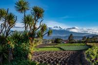 Chimborazo Landscape View