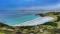 Gipsy Cove Beach