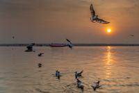 Ganges River Morning