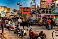 Varanasi Street Life