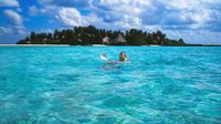 Lohifushi Swim