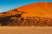 Namib