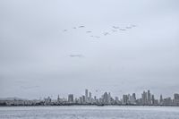 Panama City Skyline