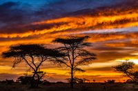 African Sunset