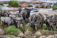 Crossing Mara River