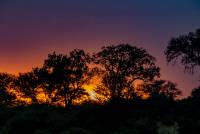 Mara River Sunset